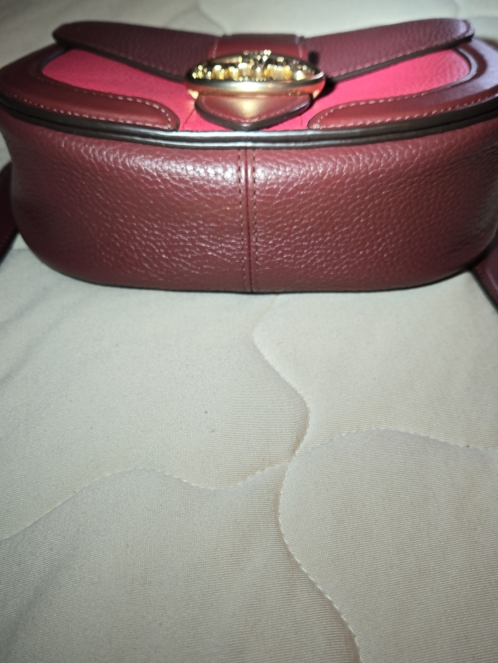 Coach Georgie Two-Tone Pink and Burgundy Saddle with Gold Hardware - Picture 10 of 11